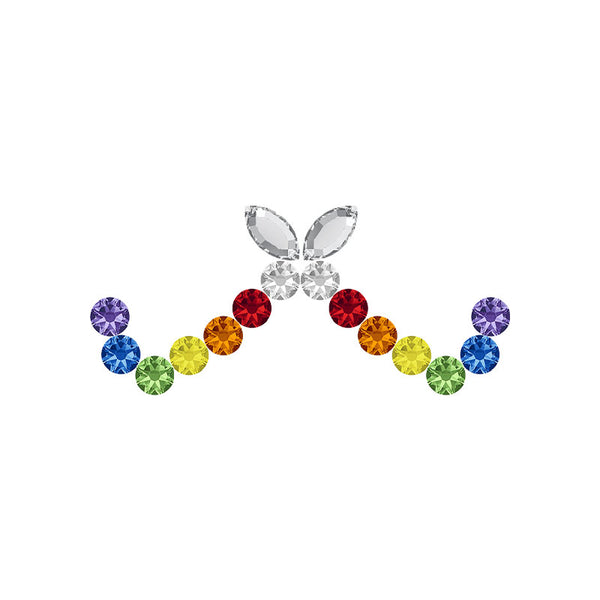 Rainbow Butterfly Kit