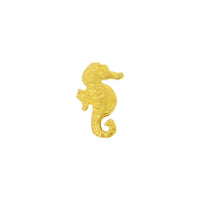 Seahorse