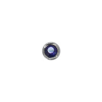Sapphire Bezel