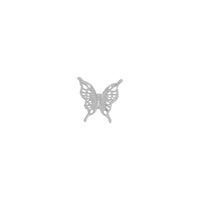 Tropical Butterfly