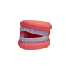 Mouth Display "Bertha"