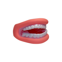 Mouth Display "Bertha"